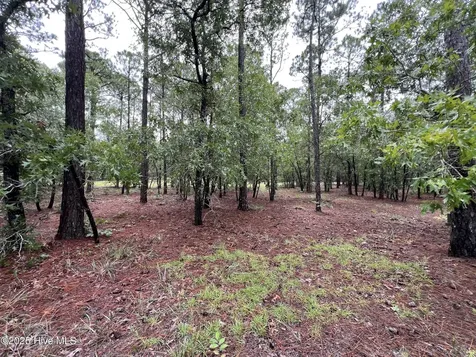 3022 Georgiana Circle SE Bolivia NC 28422