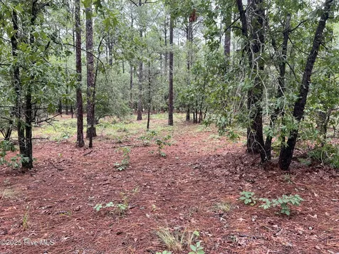 3022 Georgiana Circle SE Bolivia NC 28422