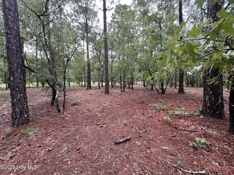 3022 Georgiana Circle SE Bolivia NC 28422