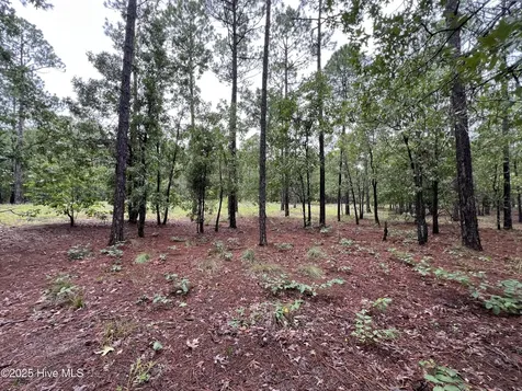 3022 Georgiana Circle SE Bolivia NC 28422