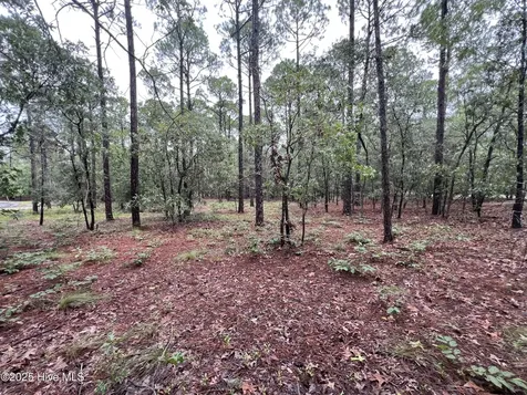 3022 Georgiana Circle SE Bolivia NC 28422