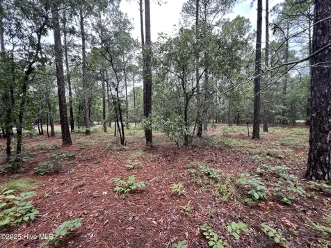 3022 Georgiana Circle SE Bolivia NC 28422