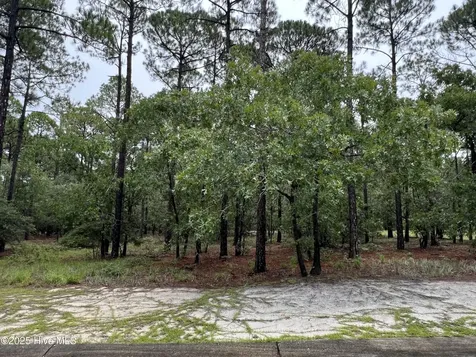 3022 Georgiana Circle SE Bolivia NC 28422