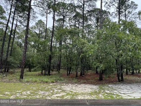 3022 Georgiana Circle SE Bolivia NC 28422