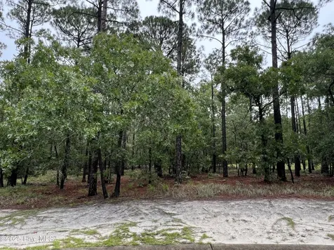 3022 Georgiana Circle SE Bolivia NC 28422