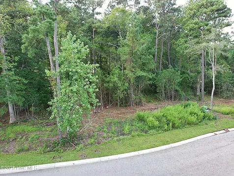 6075 Ocean Isle Palms Way SW Shallotte NC 28470