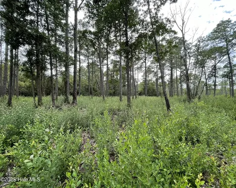 811 Brittany Road Southport NC 28461