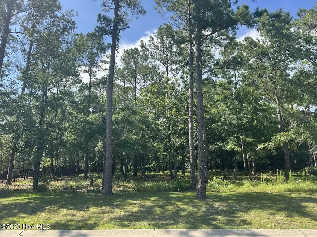 544 Hearthside Drive SE Bolivia NC 28422