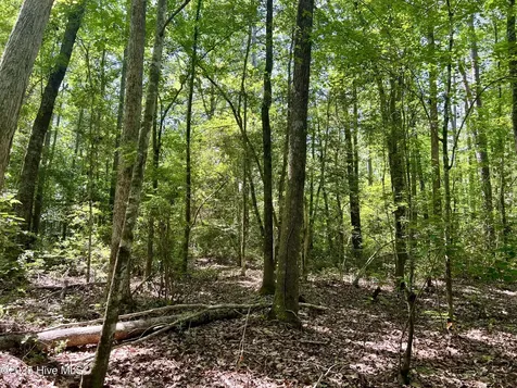 624 Dismal Road Hallsboro NC 28442
