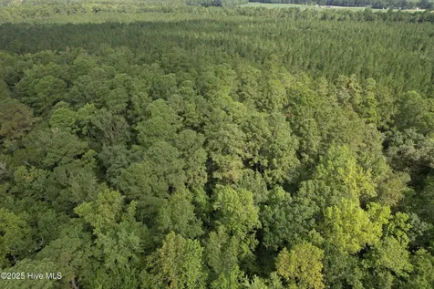 624 Dismal Road Hallsboro NC 28442