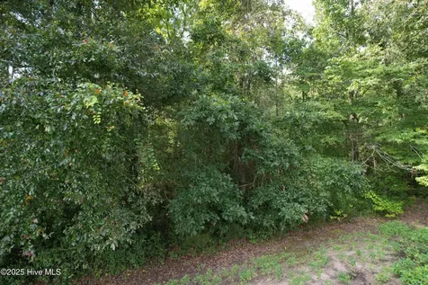 624 Dismal Road Hallsboro NC 28442