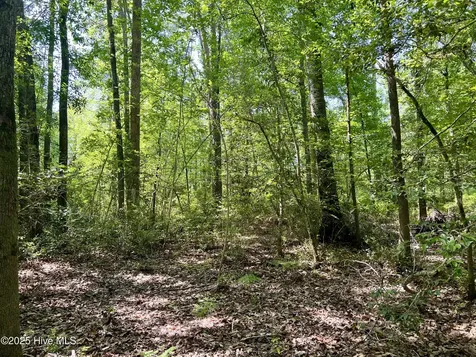 624 Dismal Road Hallsboro NC 28442