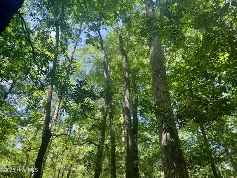 624 Dismal Road Hallsboro NC 28442
