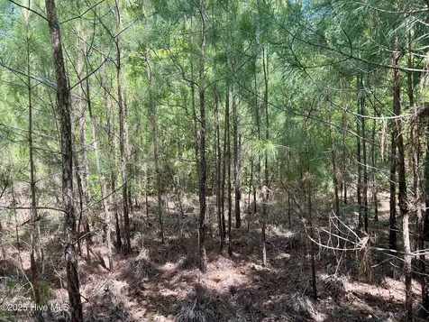 624 Dismal Road Hallsboro NC 28442