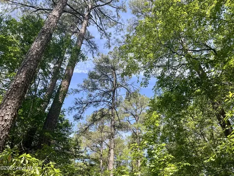 624 Dismal Road Hallsboro NC 28442