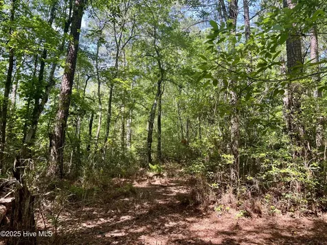 624 Dismal Road Hallsboro NC 28442