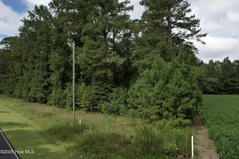 624 Dismal Road Hallsboro NC 28442