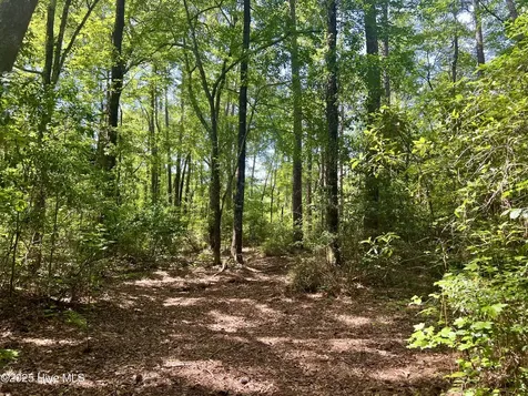 624 Dismal Road Hallsboro NC 28442