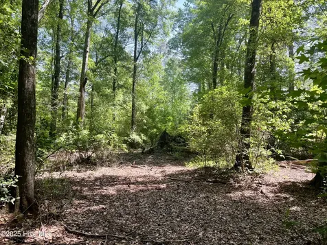 624 Dismal Road Hallsboro NC 28442