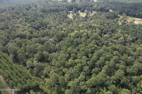 624 Dismal Road Hallsboro NC 28442