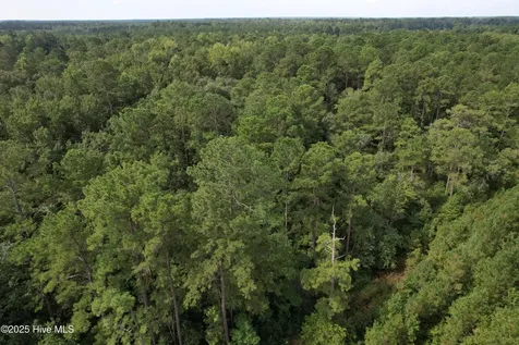 624 Dismal Road Hallsboro NC 28442