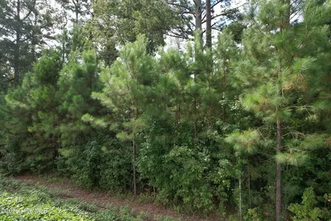 624 Dismal Road Hallsboro NC 28442