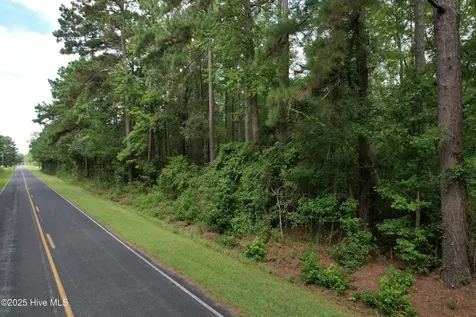 624 Dismal Road Hallsboro NC 28442