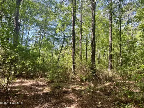 624 Dismal Road Hallsboro NC 28442