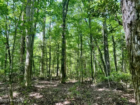 624 Dismal Road Hallsboro NC 28442