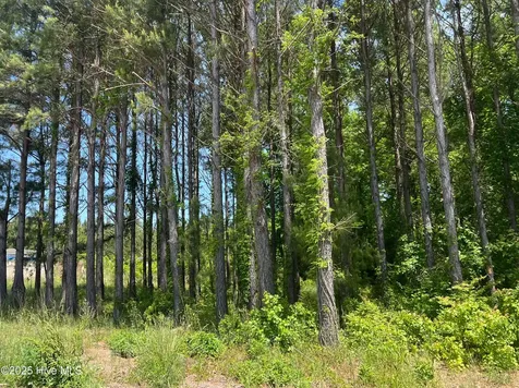 624 Dismal Road Hallsboro NC 28442
