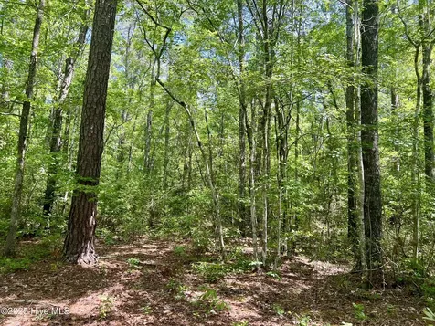 624 Dismal Road Hallsboro NC 28442