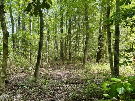 624 Dismal Road Hallsboro NC 28442