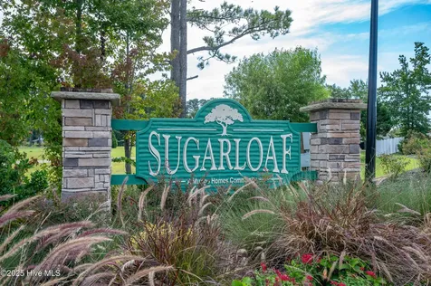 220 Averyville Drive Conway SC 29526