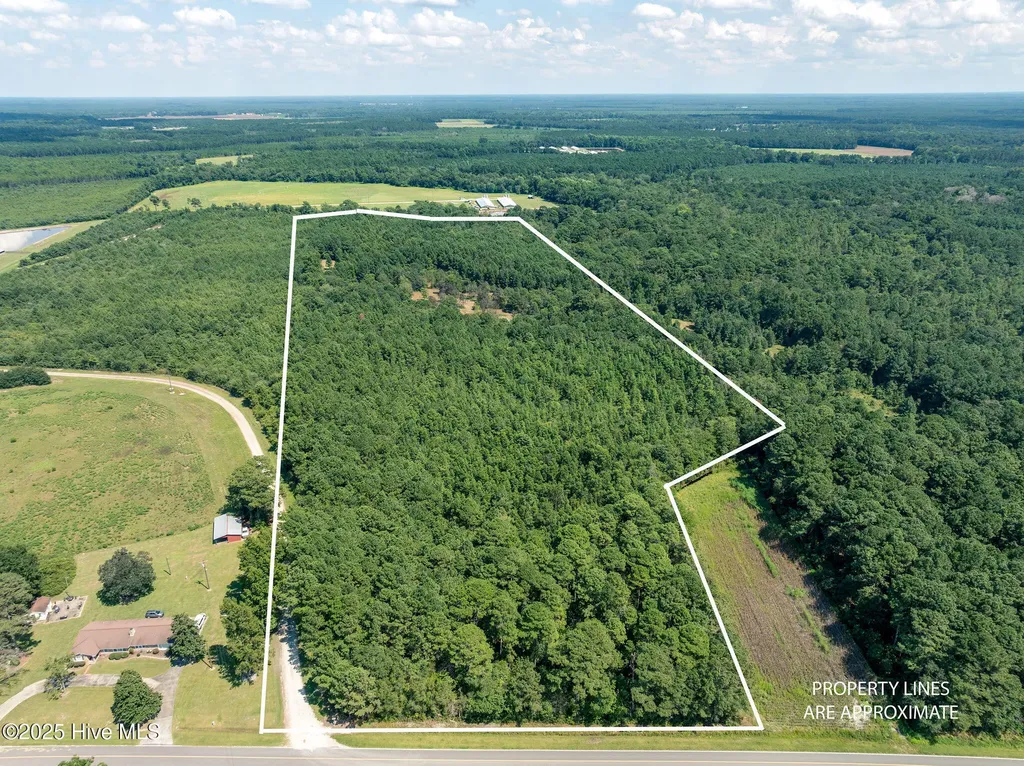 Tbd (1951) Carrtown Drive Greenevers NC 28458