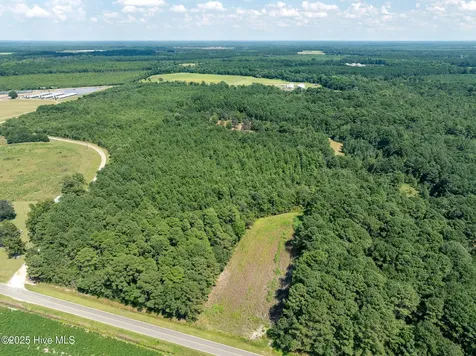 Tbd (1951) Carrtown Drive Greenevers NC 28458