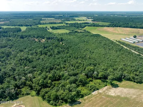 Tbd (1951) Carrtown Drive Greenevers NC 28458