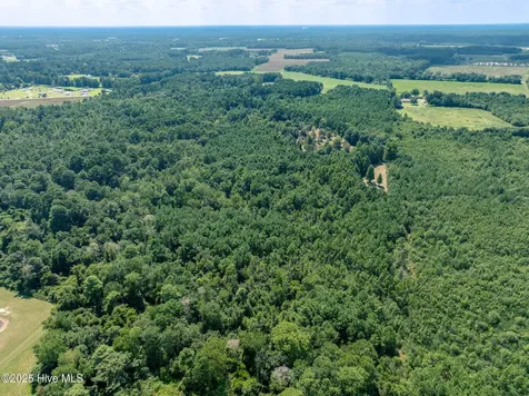 Tbd (1951) Carrtown Drive Greenevers NC 28458