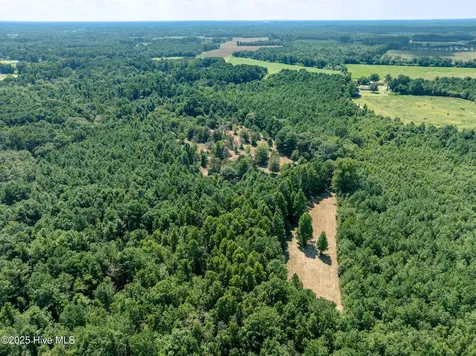 Tbd (1951) Carrtown Drive Greenevers NC 28458