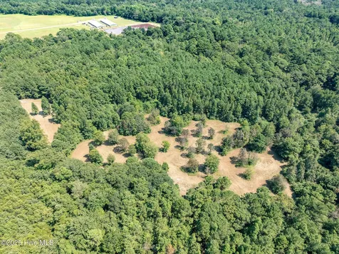 Tbd (1951) Carrtown Drive Greenevers NC 28458