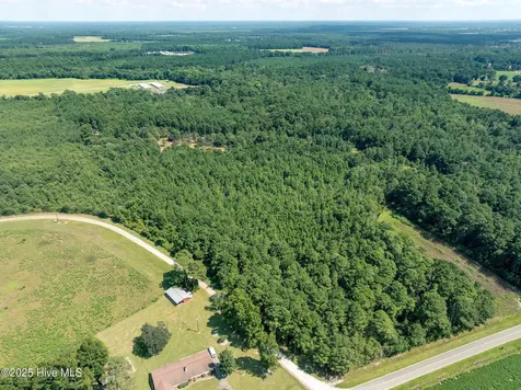 Tbd (1951) Carrtown Drive Greenevers NC 28458