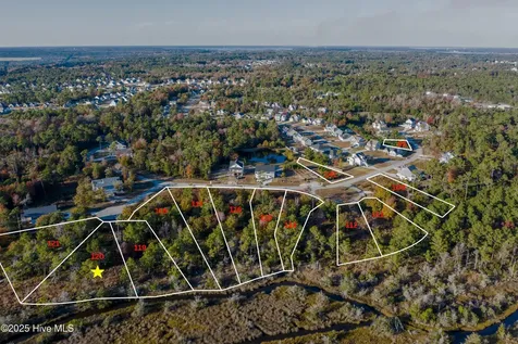 405 Harrison Court Sneads Ferry NC 28460