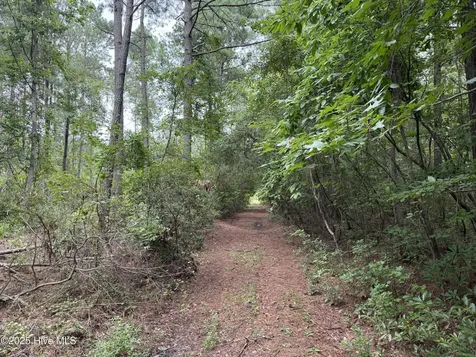 0 Sr 1932 Aurora NC 27806