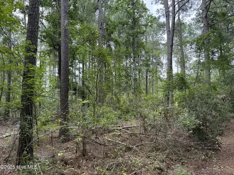 0 Sr 1932 Aurora NC 27806