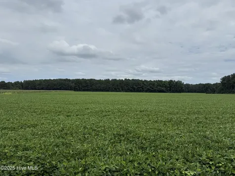 0 Sr 1932 Aurora NC 27806