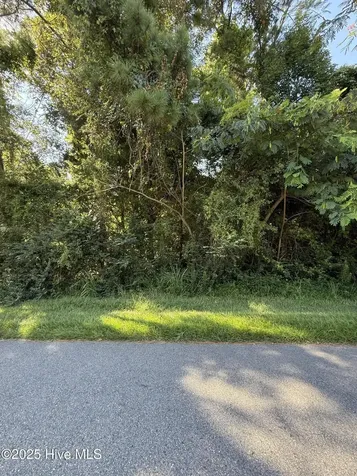 220 Montpelier Drive Edenton NC 27932