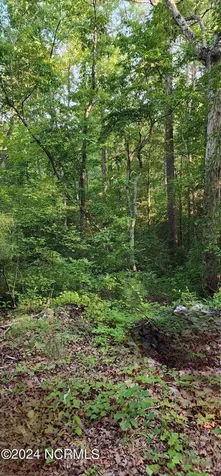 471 Turlington Drive Benson NC 27504