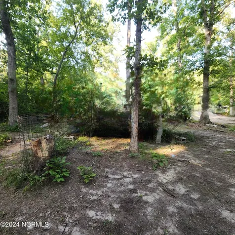 471 Turlington Drive Benson NC 27504