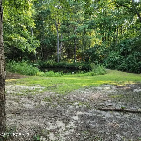 471 Turlington Drive Benson NC 27504