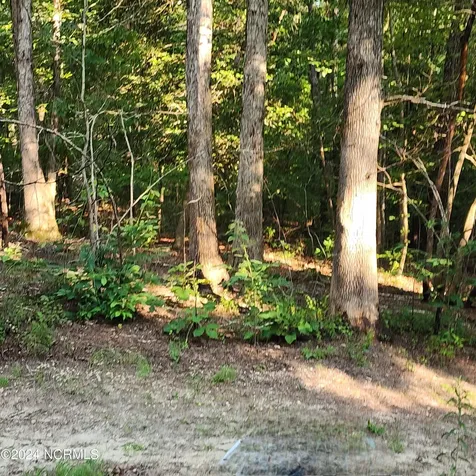 471 Turlington Drive Benson NC 27504