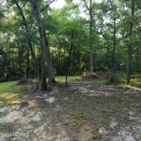 471 Turlington Drive Benson NC 27504